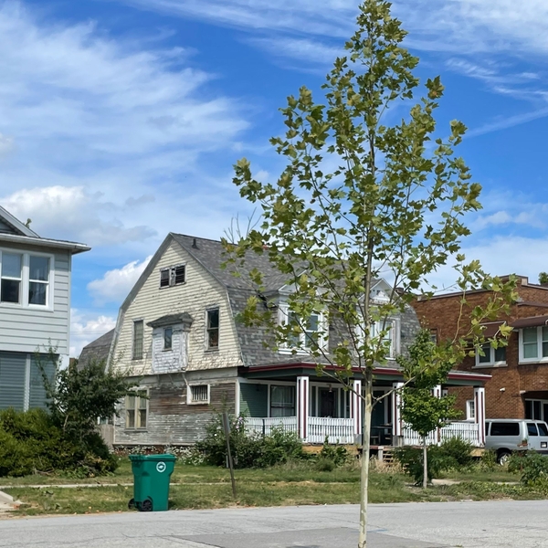Housing Strategy & Downtown Program Design