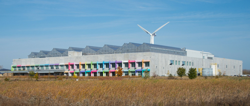 Chicago Development Fund